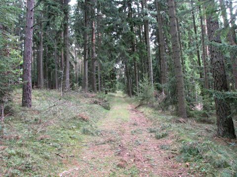 Foto 17